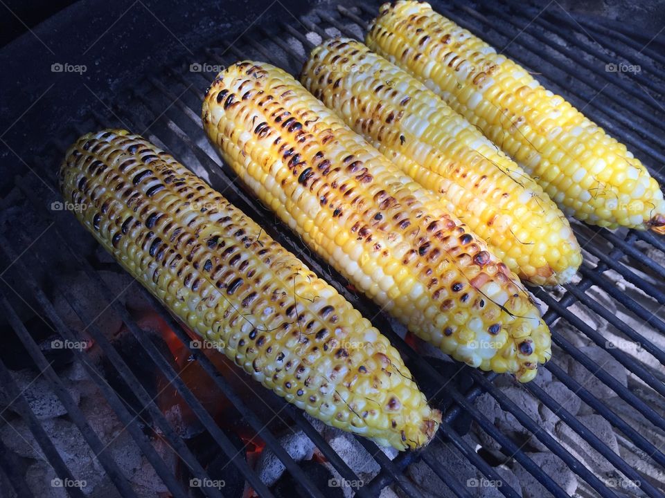 Corn on the cob grilling on grill.
