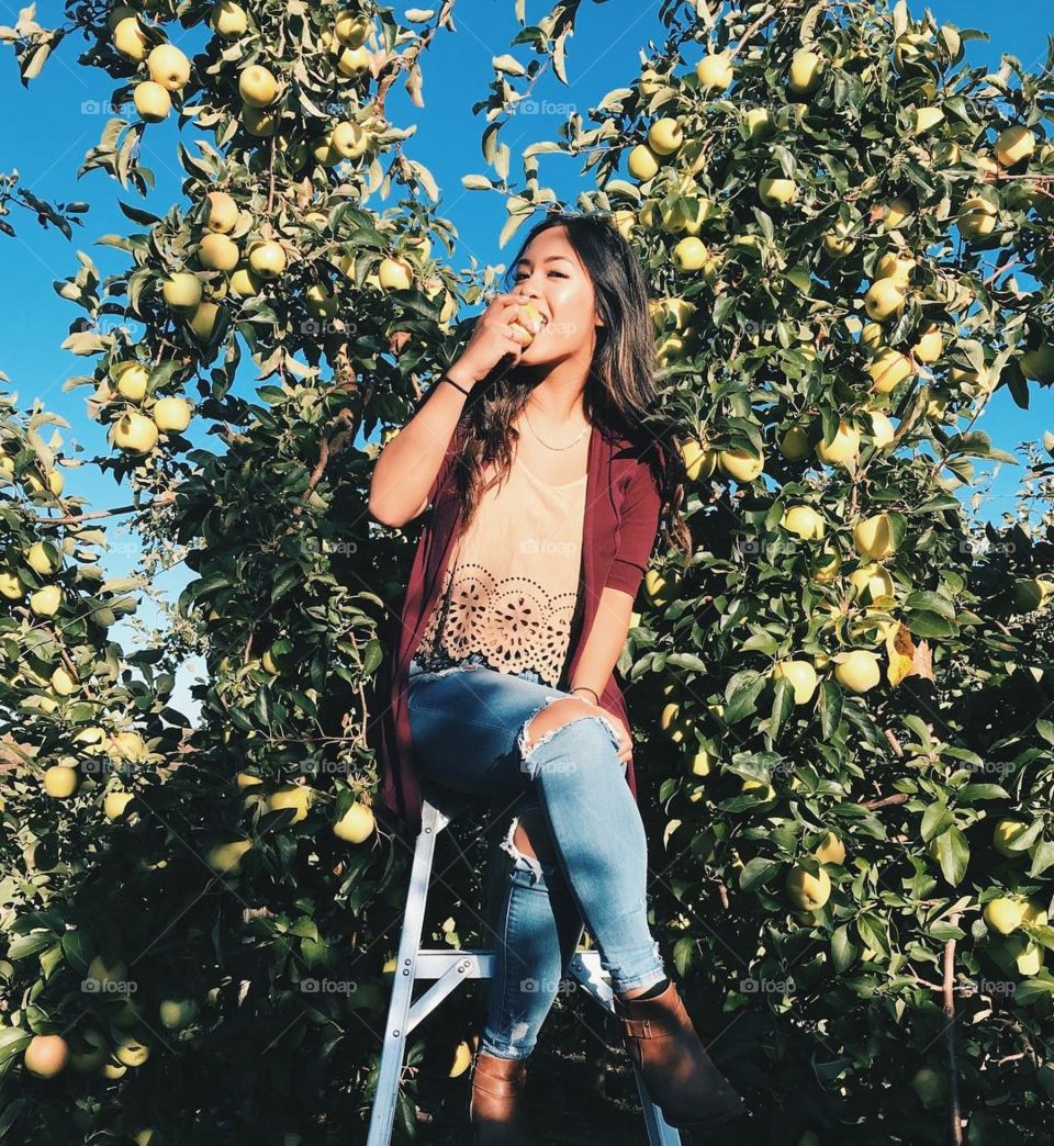 Beak & Skiff • Apple Picking • Fall