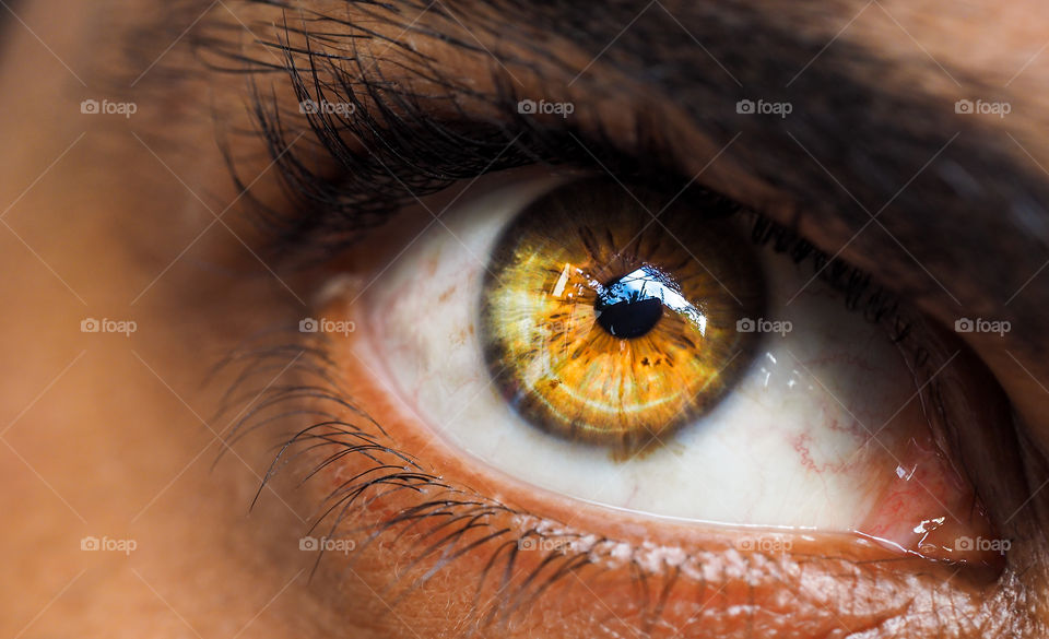 Extreme close-up of human eye