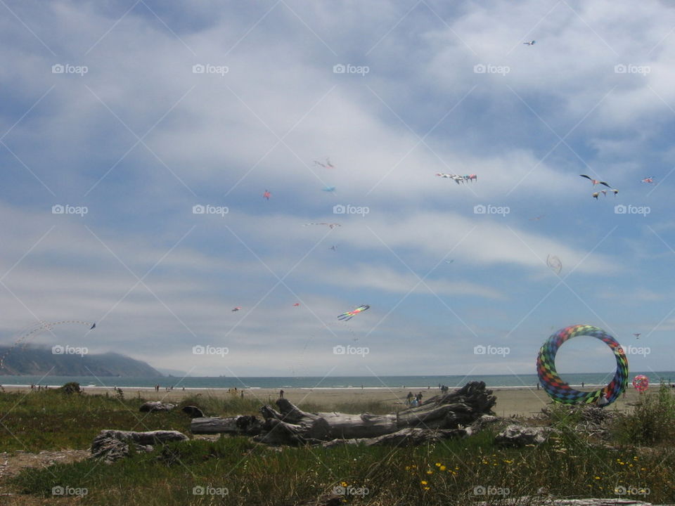 cresent city beach n kites