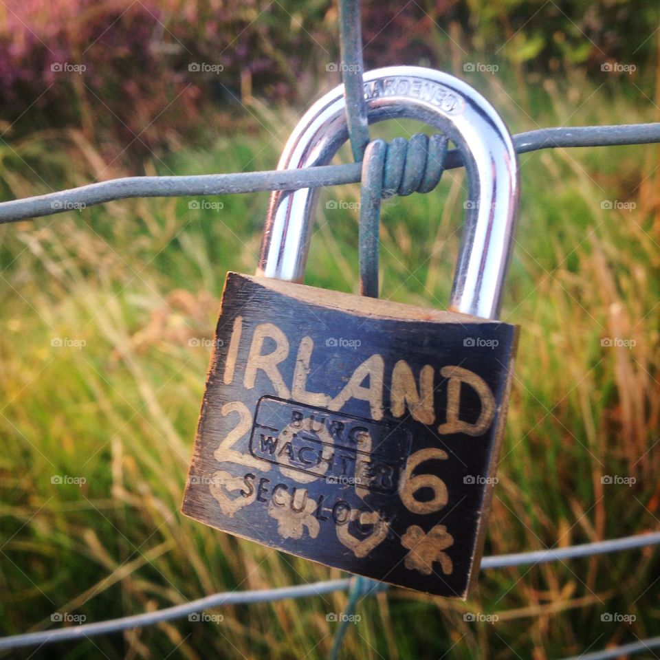 Lovelock in Ireland