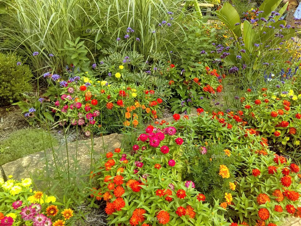 Colorful Garden