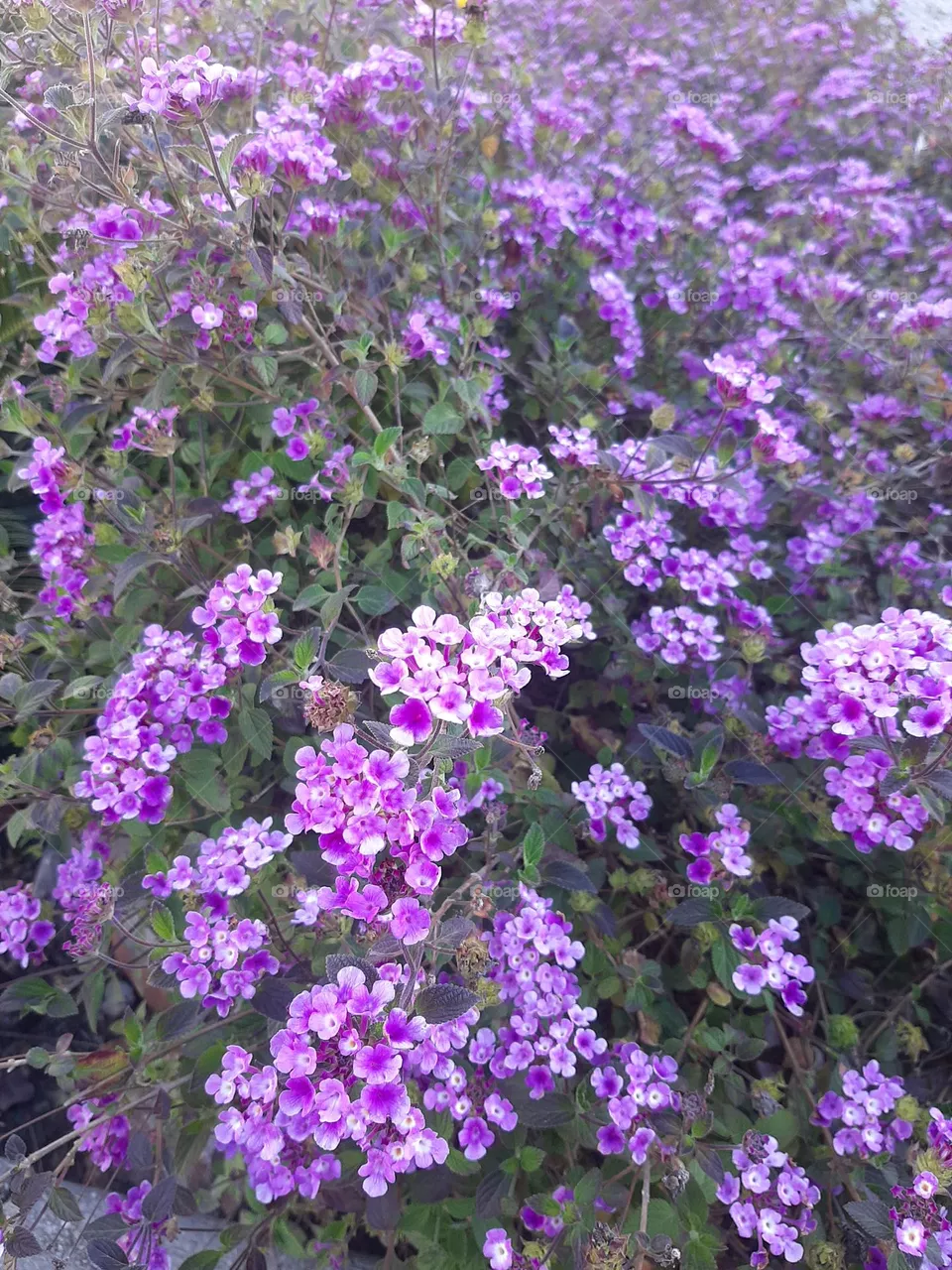 This is spring!