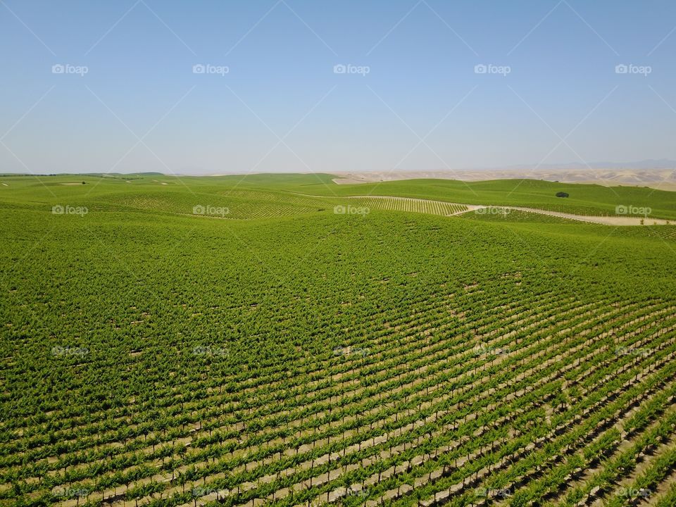 Agriculture, Field, Landscape, Rural, Farm