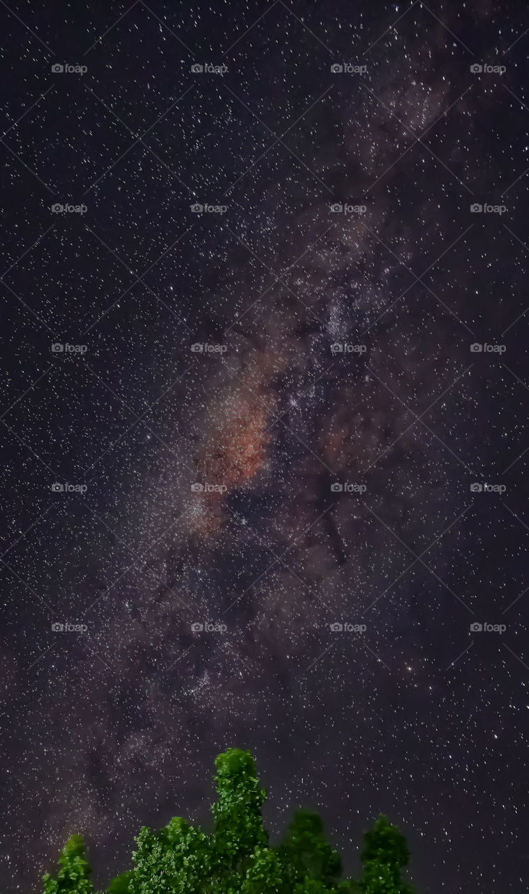 milky way in the sky