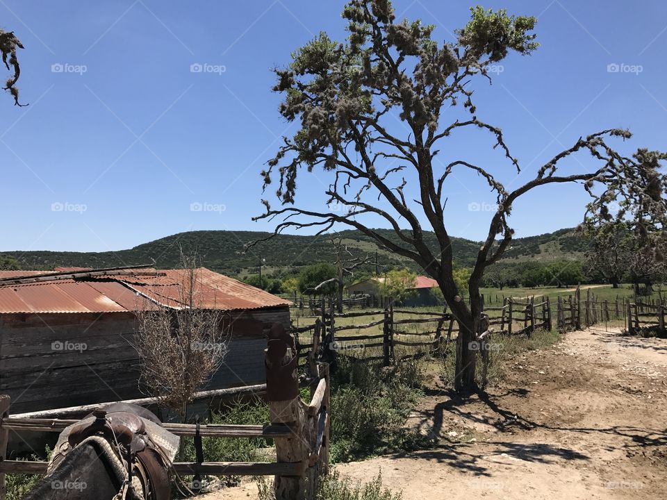 Fazenda do Texas - Bandera, TX