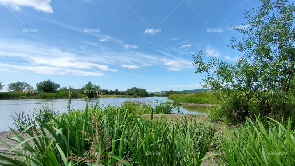 Mureș River