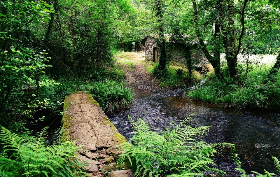 Old water mill