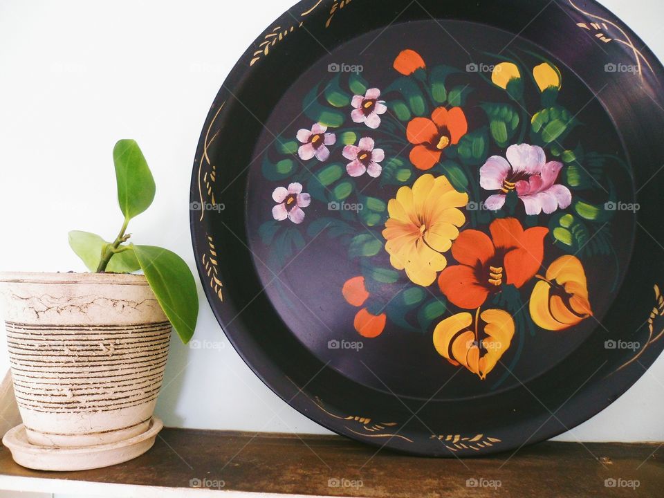 ficus plant and decorative tray with artistic painting