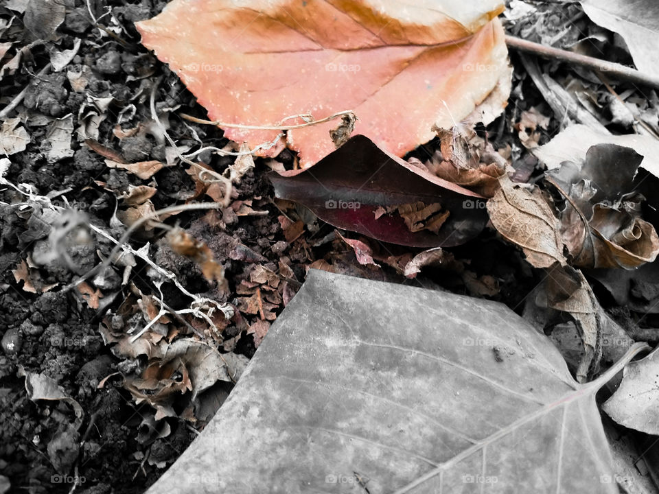 Мысли о жизни.