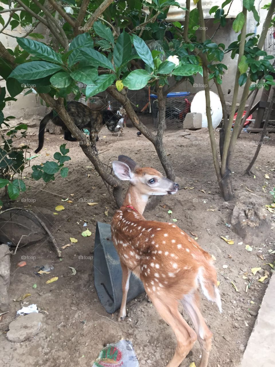 Wild life ❤️😍