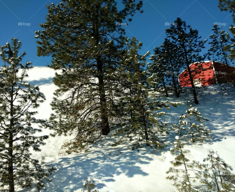 snow covered mountainside