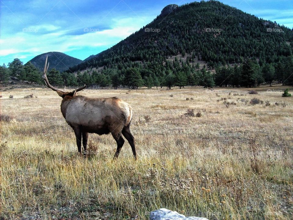 Colorado view