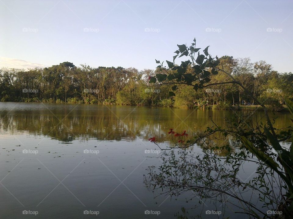 Lake in city park Brazil
