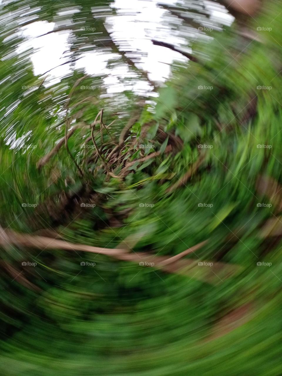 Beautiful view of the nature in different pattern in round blur effects Dizziness and running image