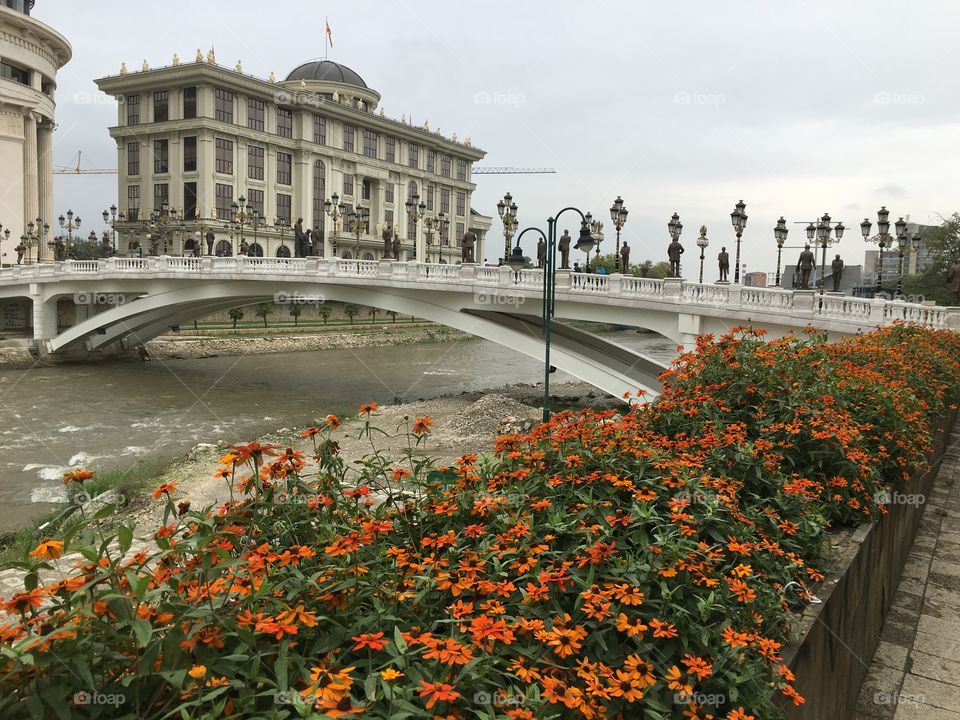 Flowers by the river