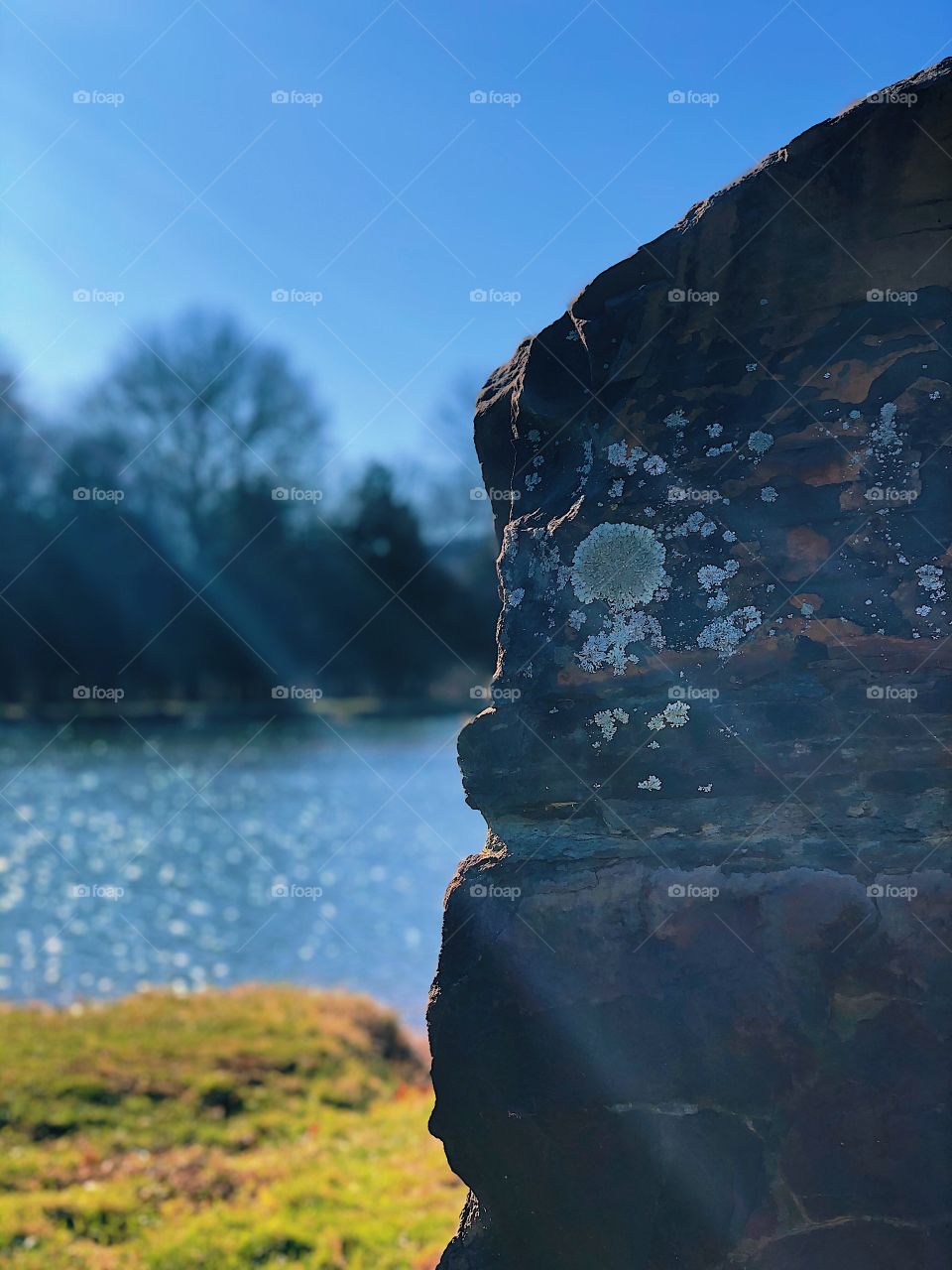 Rock by a lake, landscape of New York, New York wooded area, forest and lakes of New York, Catskills area of New York, landscape beauty, focused point of view, nature photography 