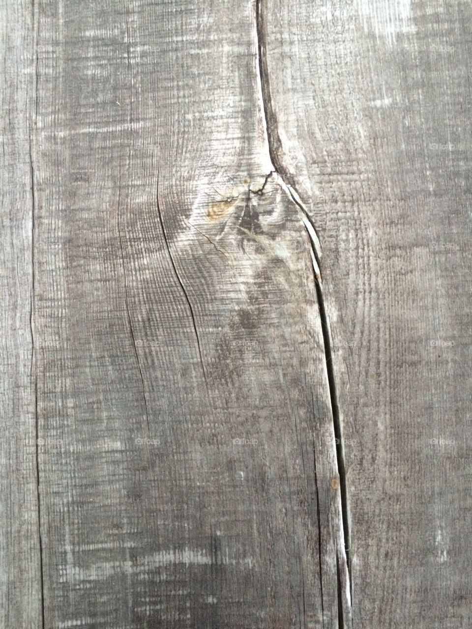 Wood texture