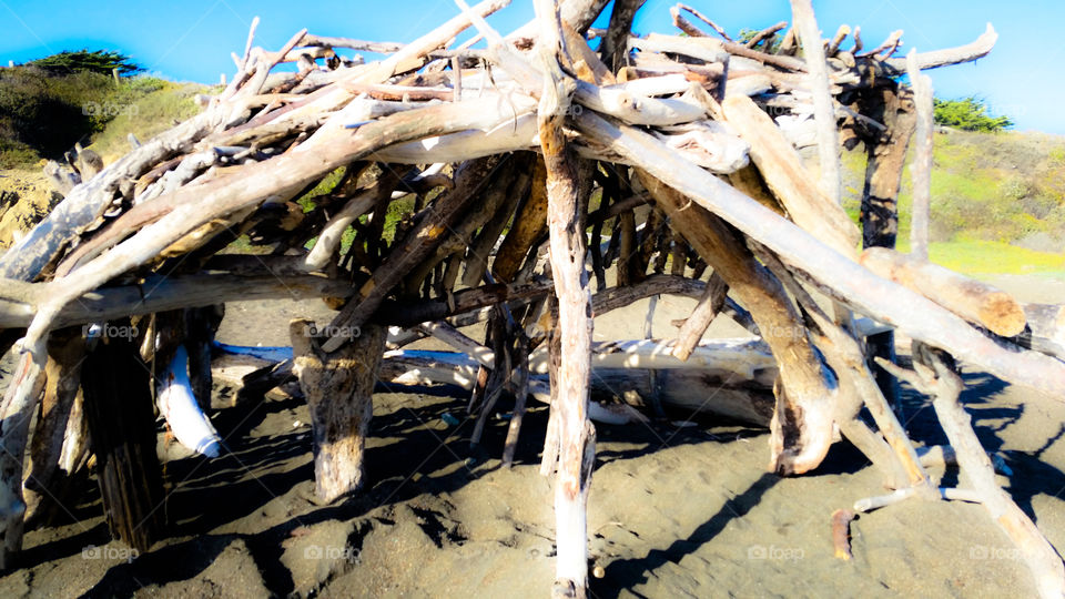 Driftwood shack