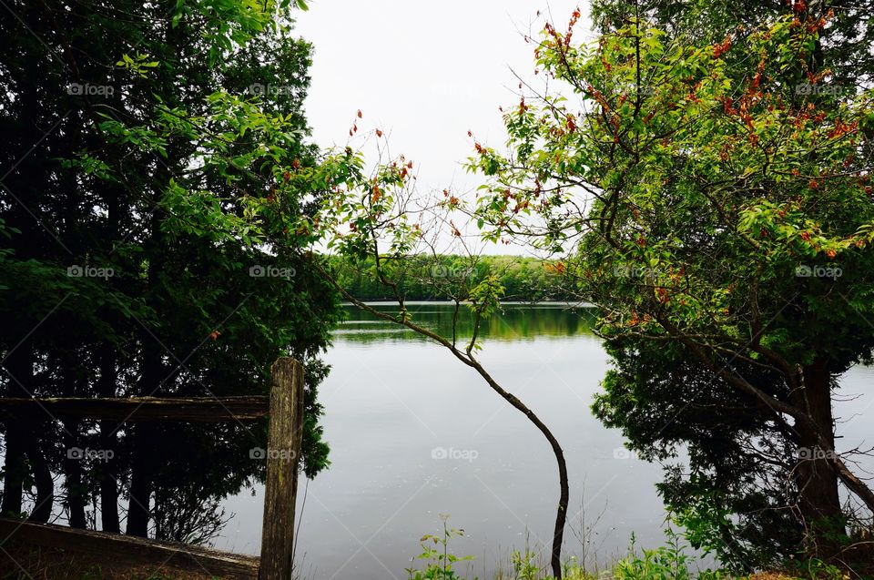 Nature. Quarry Lake