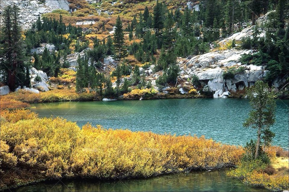 Eastern Sierra Nevada