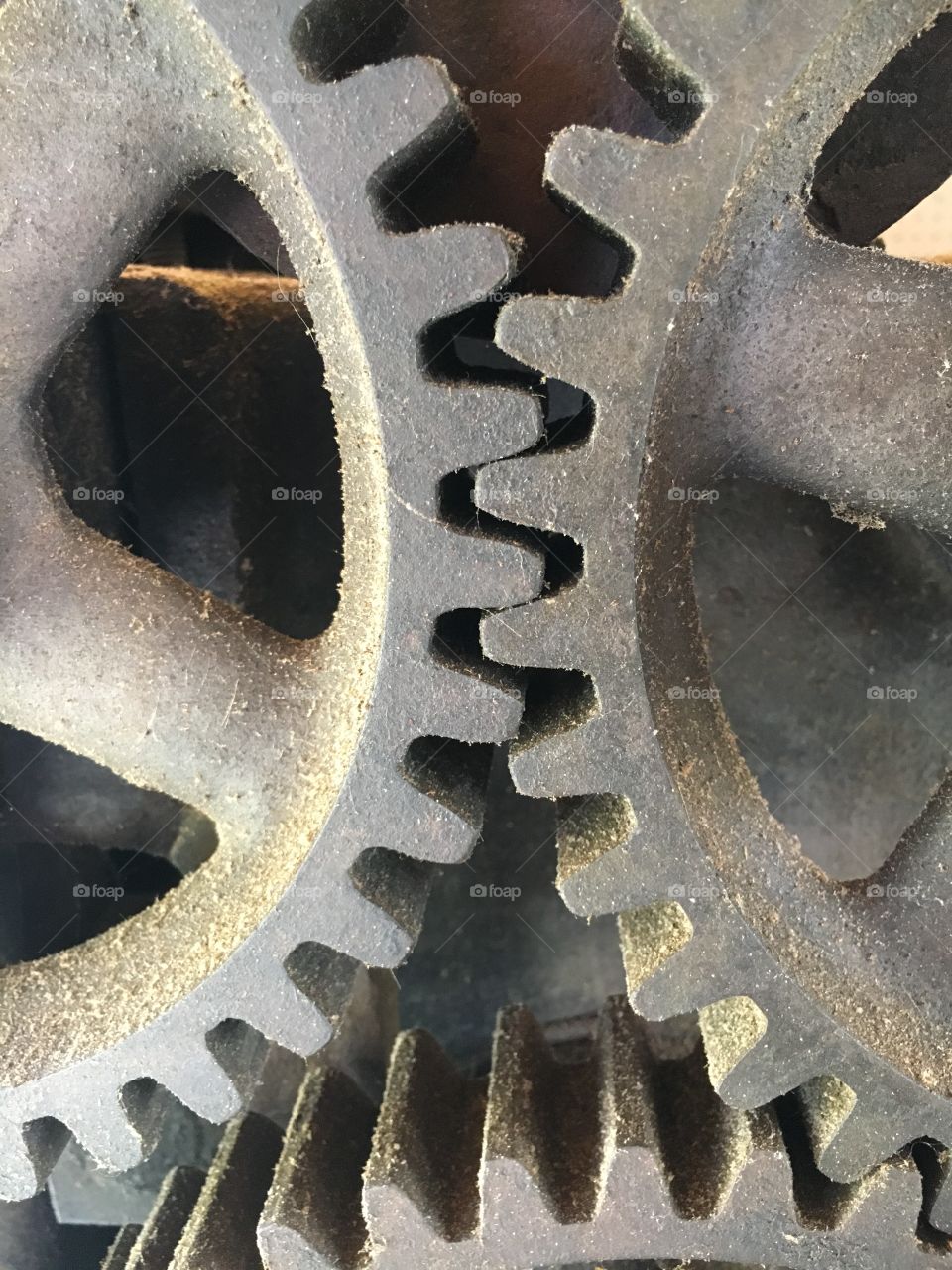 Old gears 