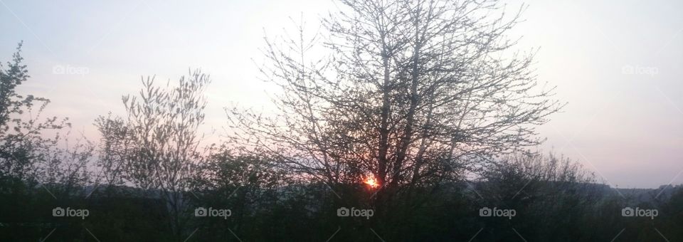 Jedburgh sunset through trees last night on April 17th 2019