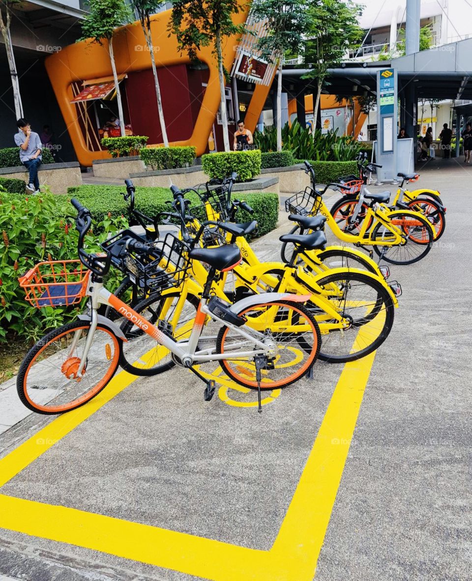 Bicycle stand in Singapore