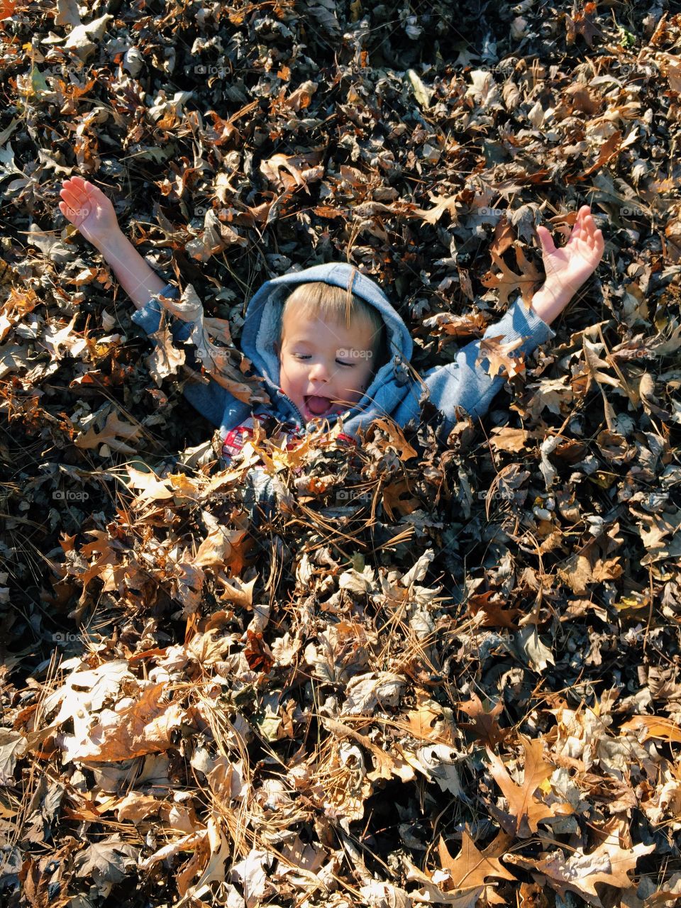 Child playing in a pile of leaves 