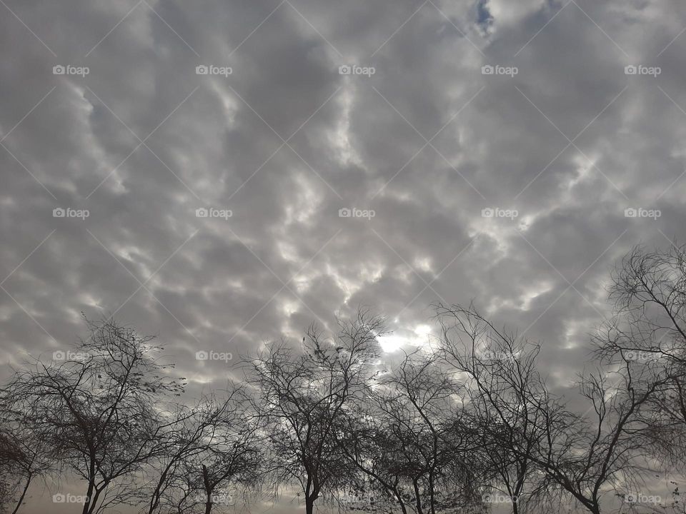 Please make me happy, I am poor, I need your help with support