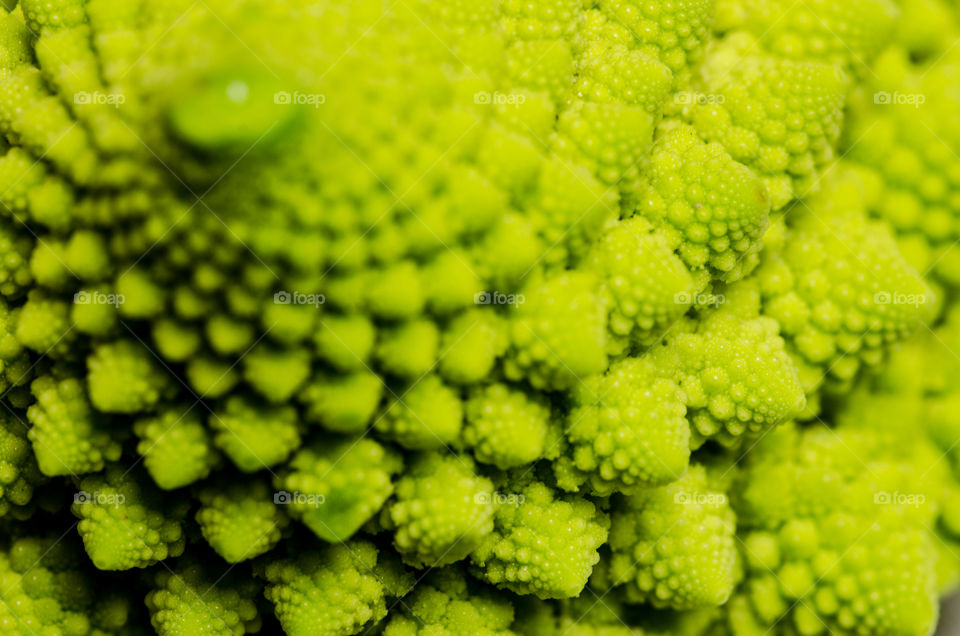 Closeup of a romanesco cauliflower