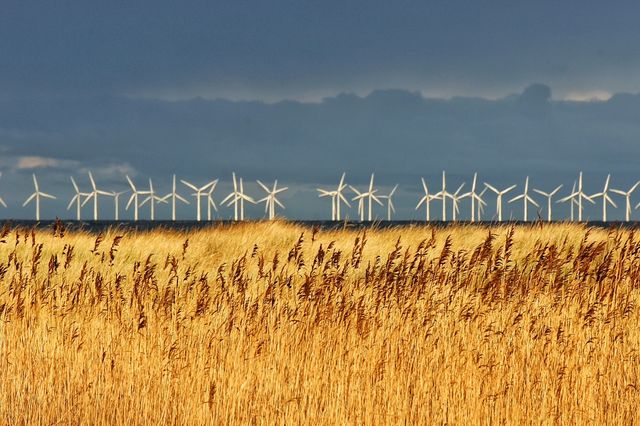 Windcraft in Winter