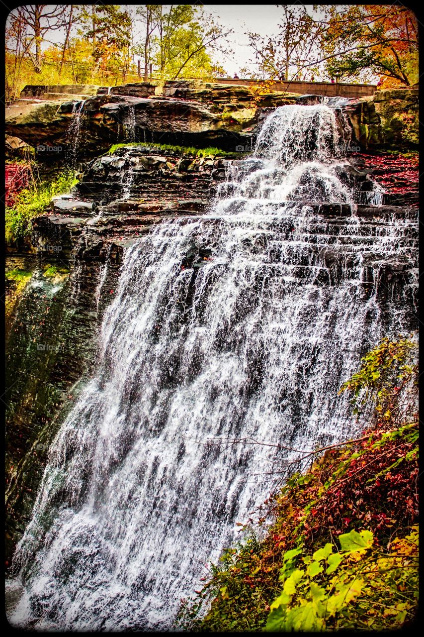 Every autumn leads to new beginning of life 