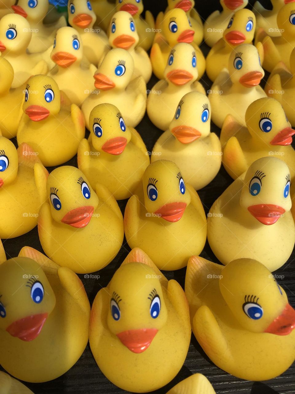 Yellow ducks.