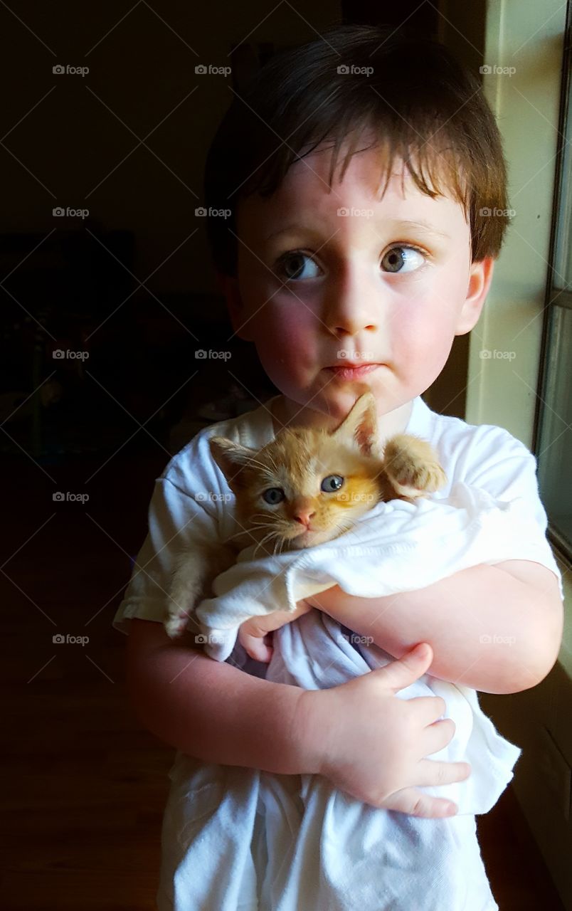 Cute boy carrying young cat in hand