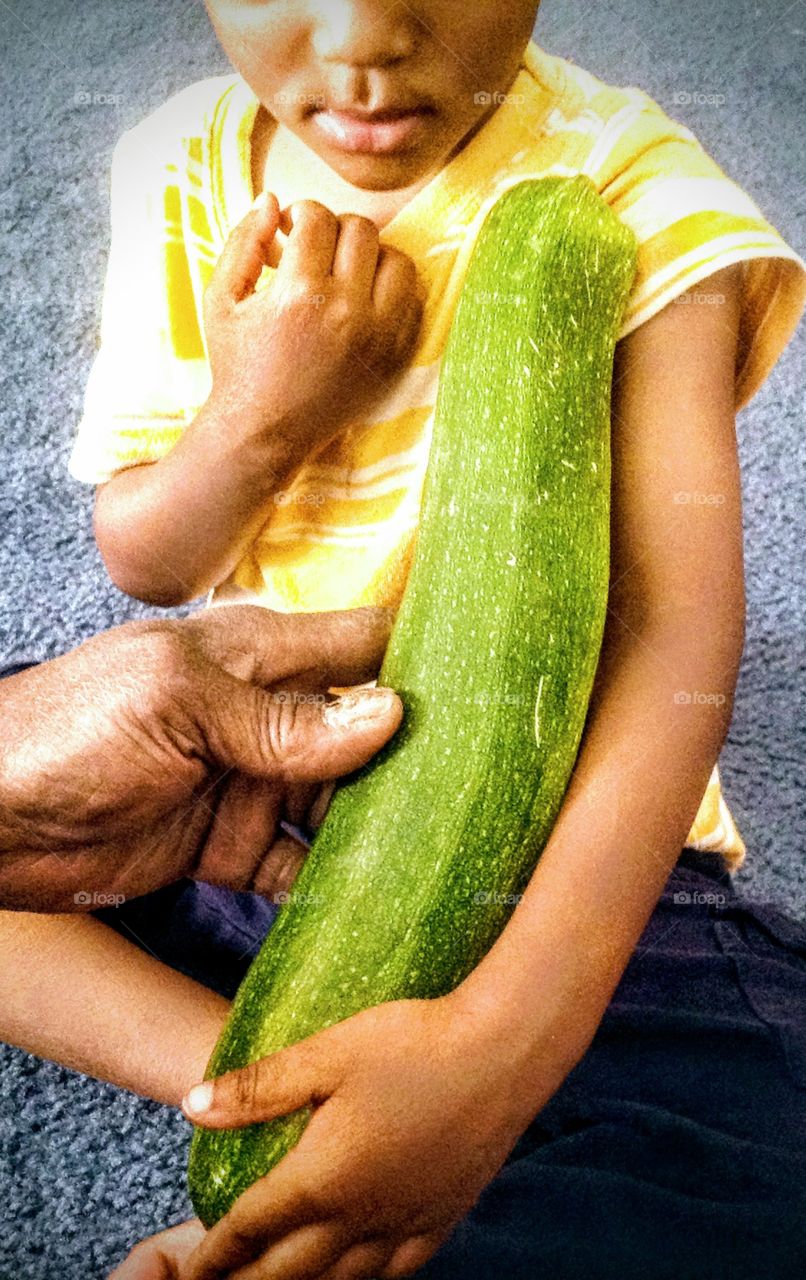 Giant Zucchini
