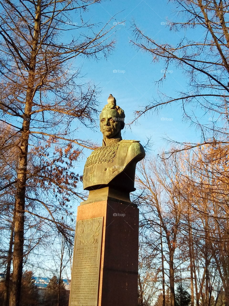 природа.голубь.памятник.улица.город.небо.