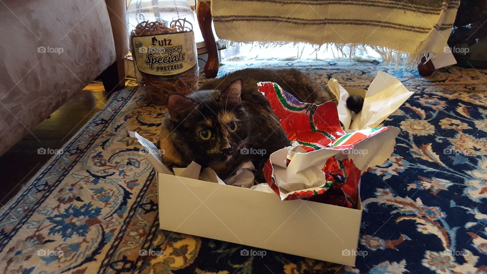 I got paper for Christmas!