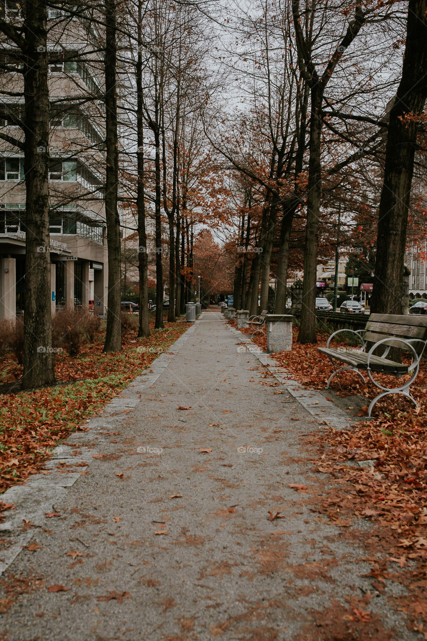 The path at the Hospital