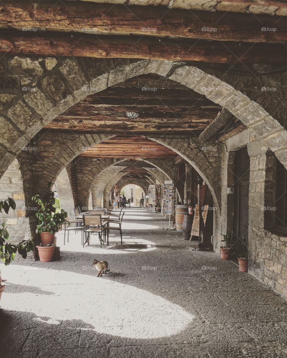 Lone stray cat strutting through the archways of a medieval villages on a sunny morning. 