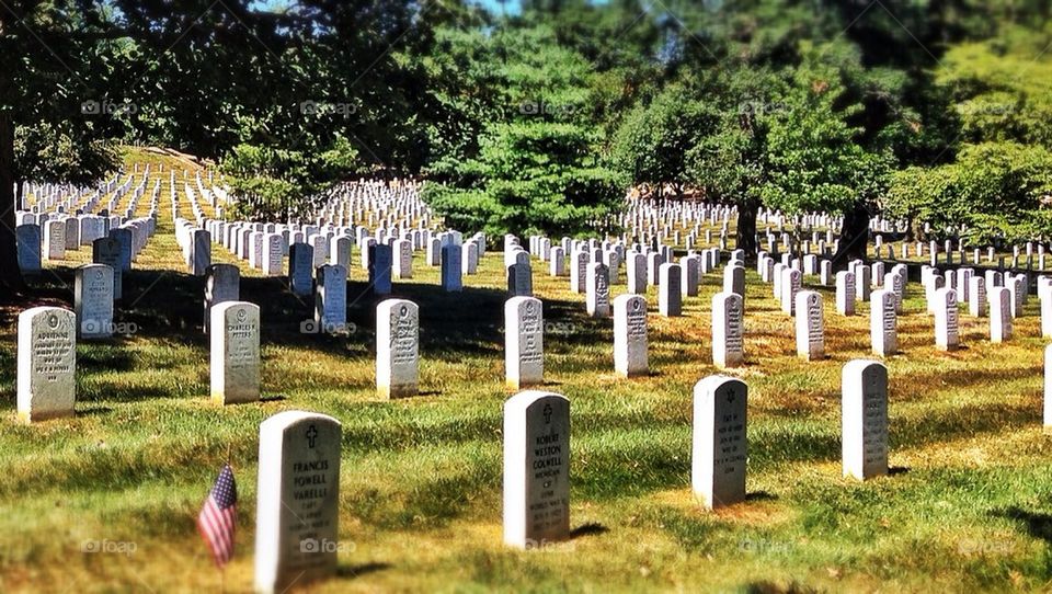 Remembering the Fallen