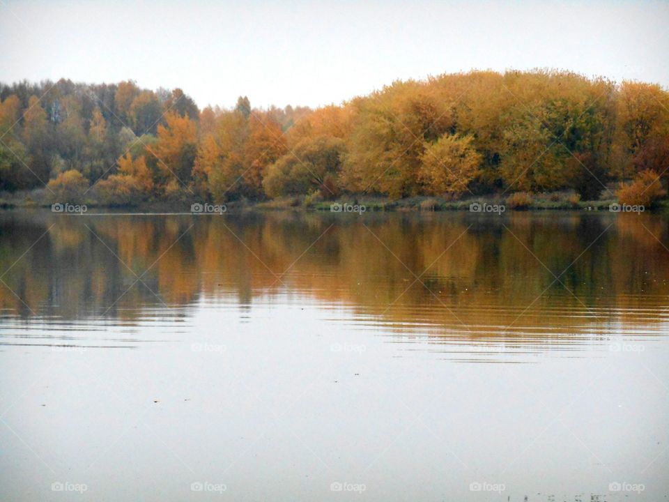 Autumn trees reflected on lake