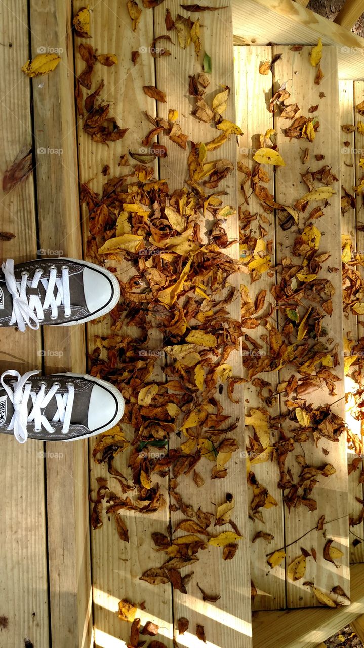 Looks like fall is on the way