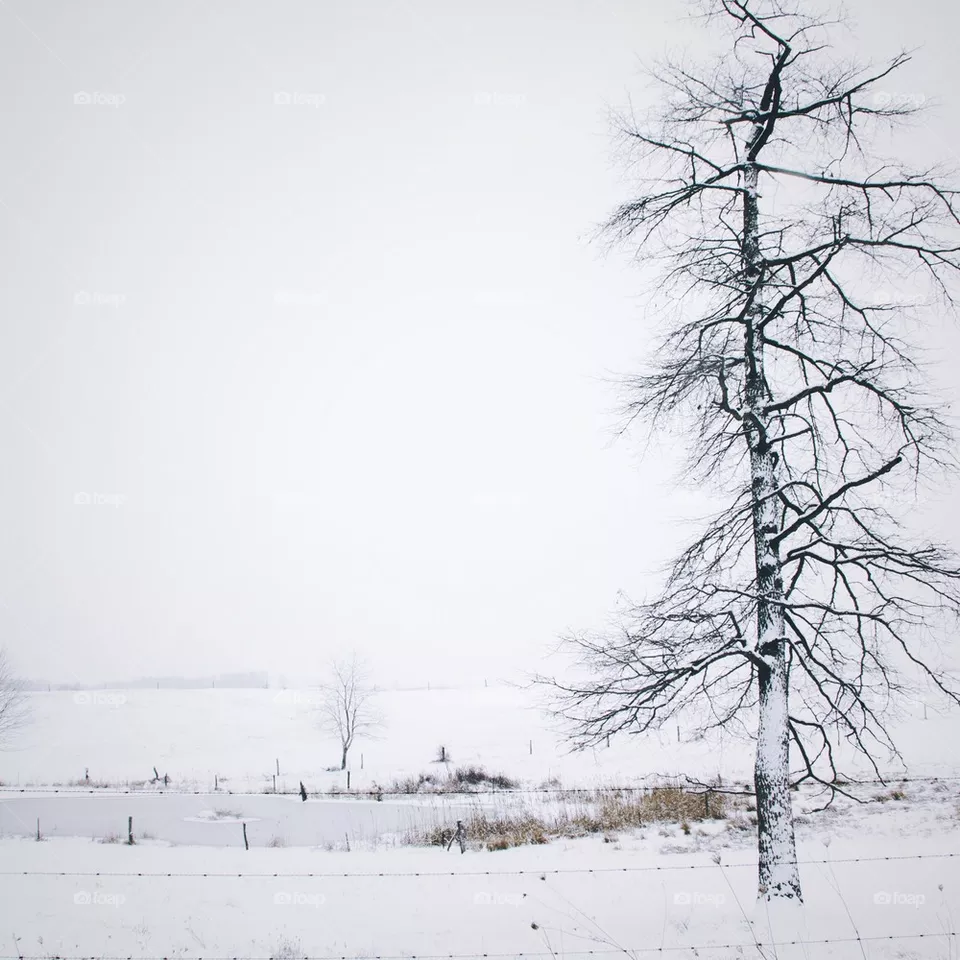 Winter