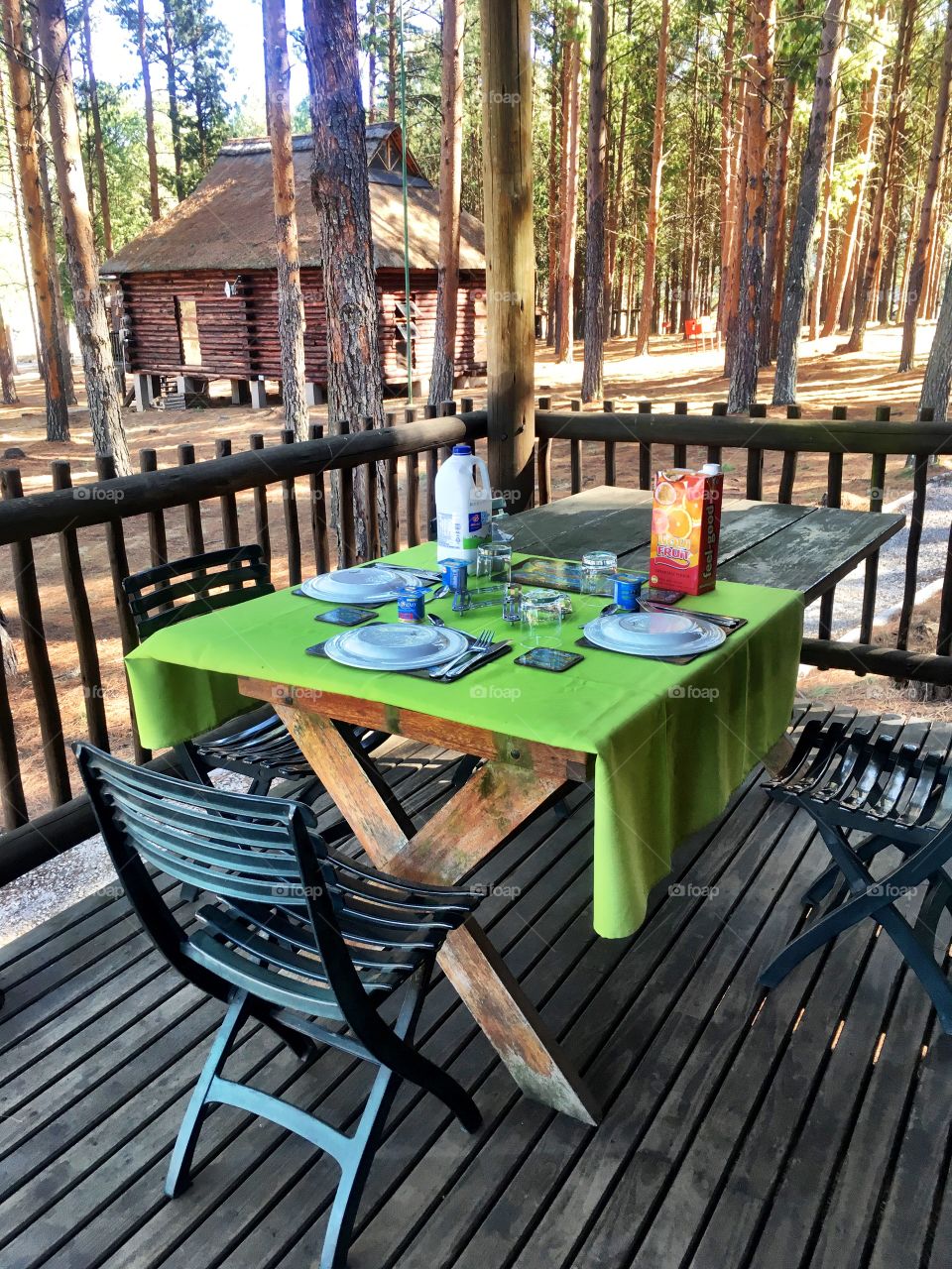 Breakfast in the forest