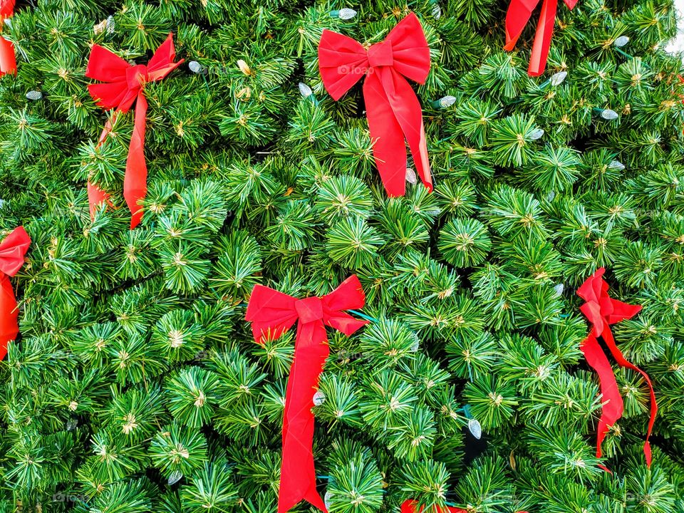 Close up of a Christma tree worth lights and red bows