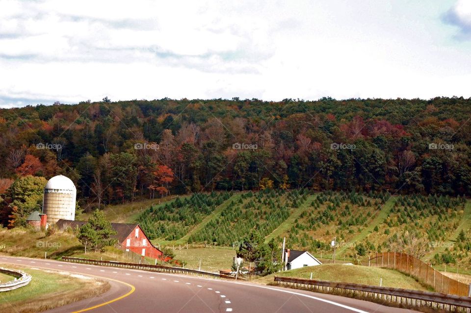 road forest barn field by refocusphoto