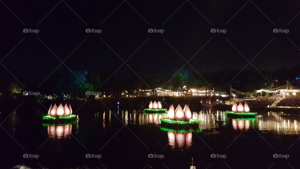 Illuminated flowers flow throughout the waters of Discovery River at Animal Kingdom at the Walt Disney World Resort in Orlando, Florida.