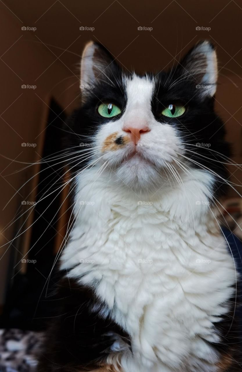 The center of the universe 🤷🏻‍♀️