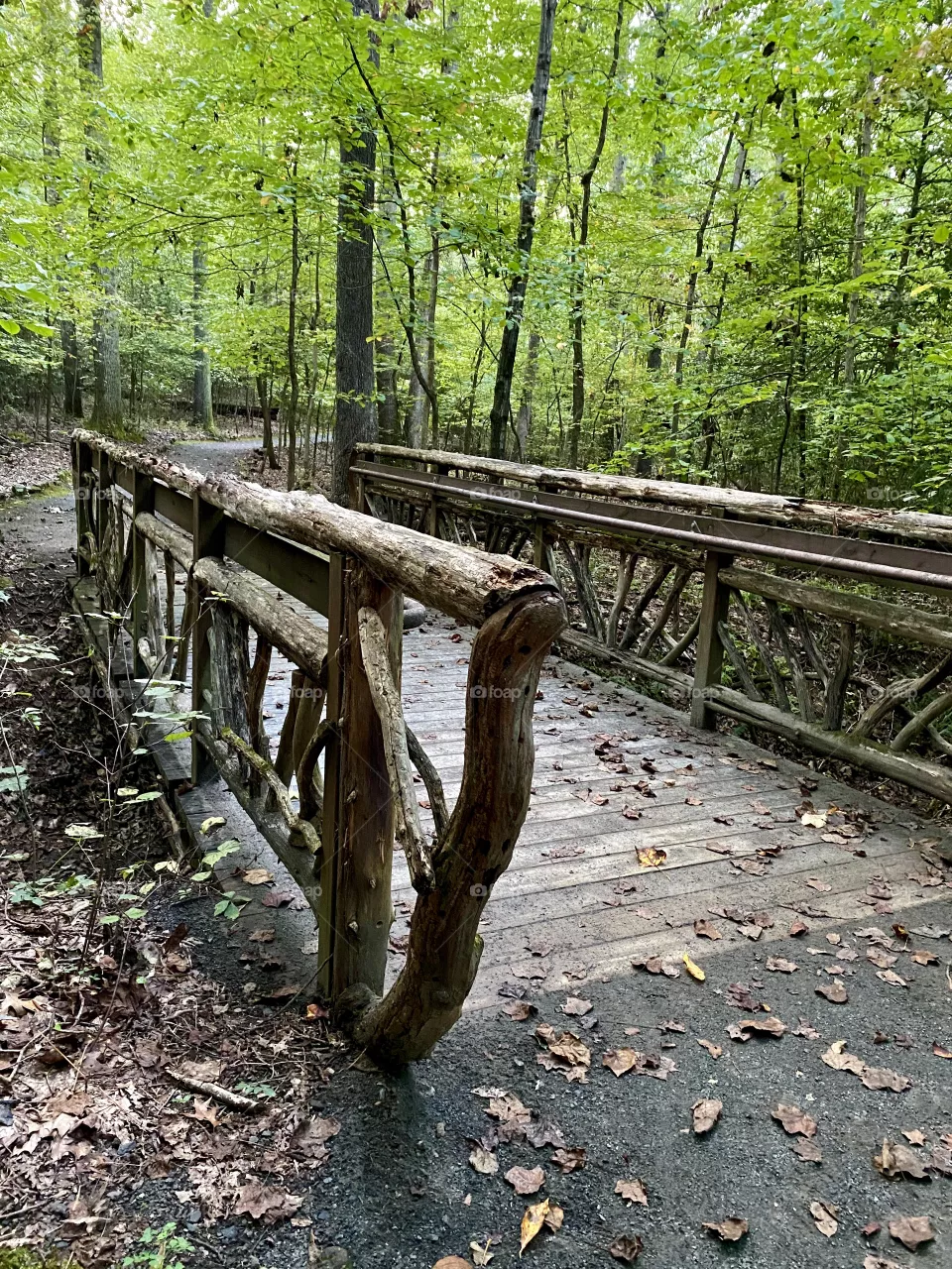 Bridge to nature 